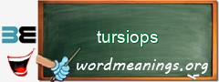 WordMeaning blackboard for tursiops